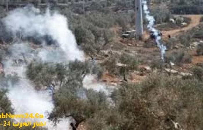 كيف يستفيد الفلسطينيون من الوضع الضبابي