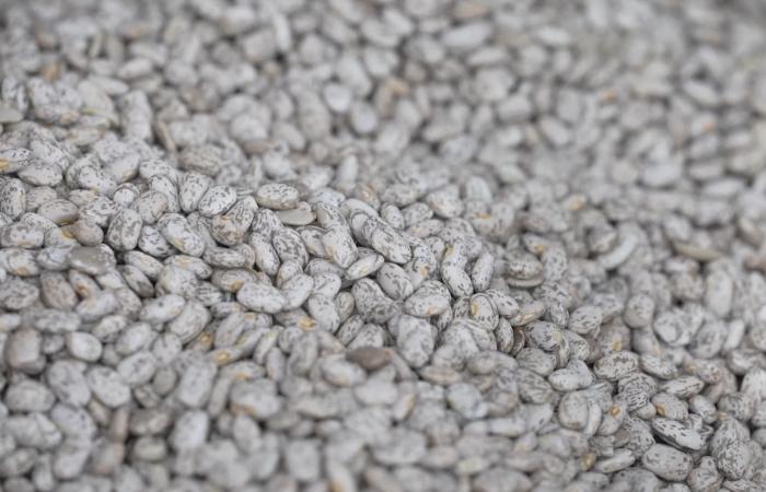 جمعية القلب الأمريكية: إرشادات غذائية جديدة مفيدة لصحتك