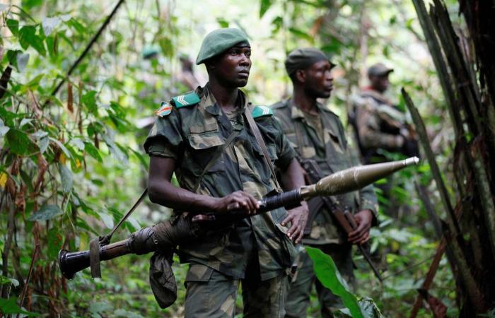 مقتل
      17
      شخصاً
      في
      هجوم
      لمسلحين
      على
      قرية
      في
      وسط
      نيجيريا