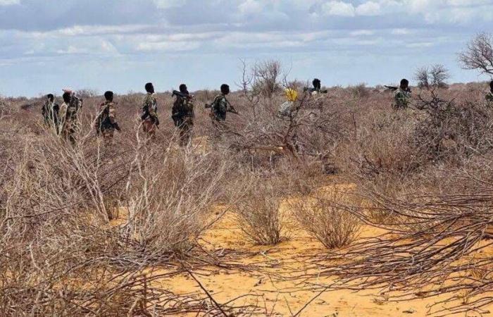 محاولة
      اغتيال
      رئيس
      الصومال...
      رسالة
      تصعيد
      وسط
      أزمة
      سياسية