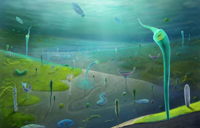 حفريات في الصين تكشف عن تنوع الحياة الحيوانية قبل ملايين السنين