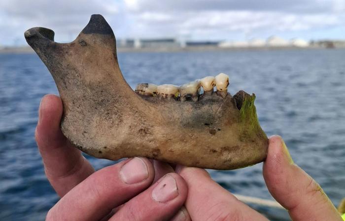 اكتشاف سفينة حربية غارقة قبالة سواحل الدنمارك بعد 225 عامًا