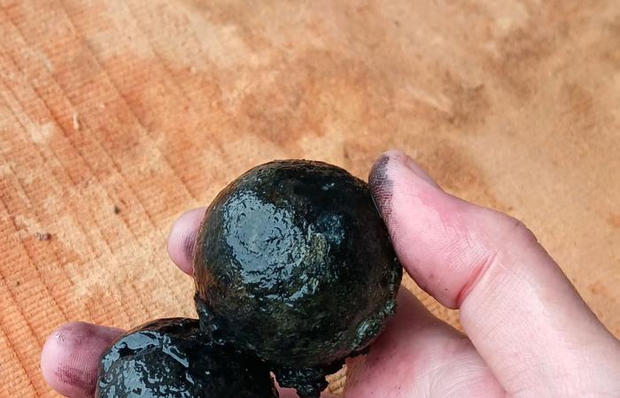 اكتشاف سفينة حربية غارقة قبالة سواحل الدنمارك بعد 225 عامًا