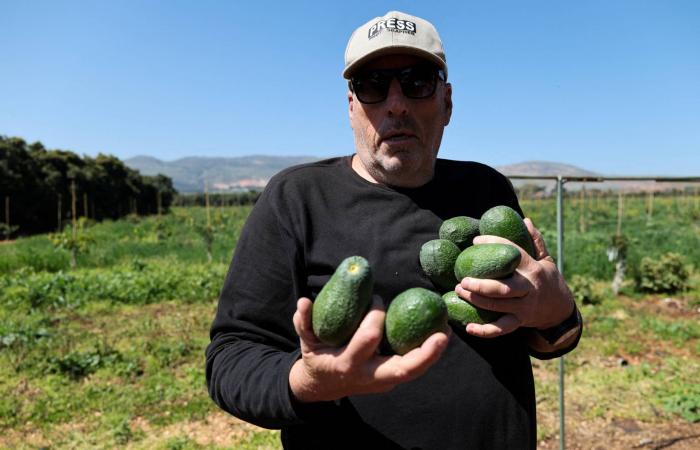 رغم
      صواريخ
      «حزب
      الله»...
      سكان
      يصرون
      على
      البقاء
      في
      شمال
      إسرائيل