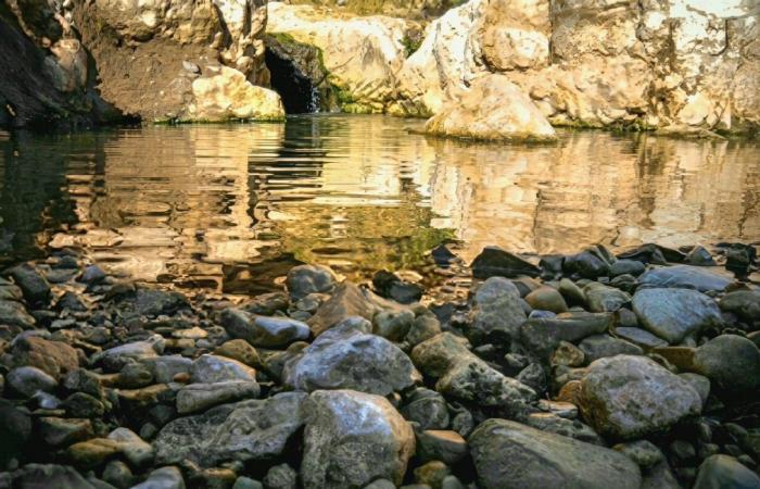 «رسالة
      قبل
      الهجوم»...
      لماذا
      أدى
      مستوطنون
      طقوساً
      تلمودية
      في
      «حمامات
      المالح»
      الفلسطينية؟