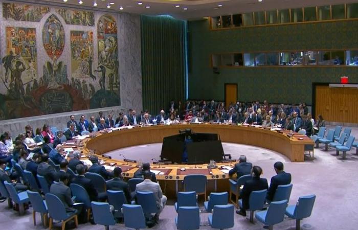 مجلس الأمن يفشل في اعتماد مشروع قرار بحريني بشأن مضيق هرمز