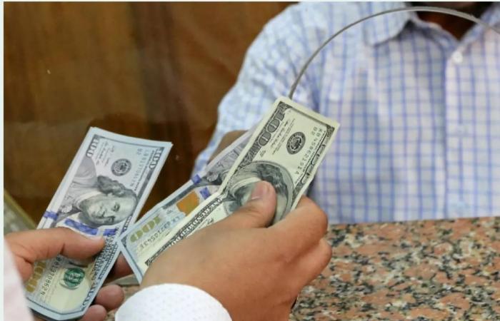 السلطات
      المصرية
      تلاحق
      تجار
      العملة
      لـ«لجم
      السوق
      السوداء»