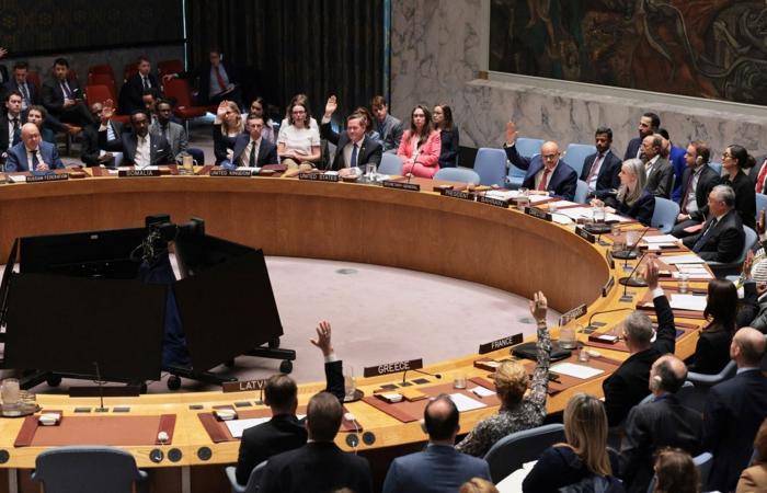 فيتو من الصين وروسيا يحبط مشروع قرار بمجلس الأمن لإعادة فتح مضيق هرمز