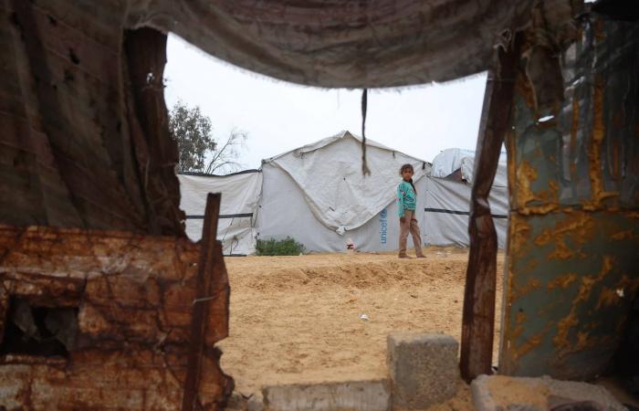 «مهلة»
      ملادينوف
      لتسليم
      «سلاح
      غزة»
      تعقّد
      الملف