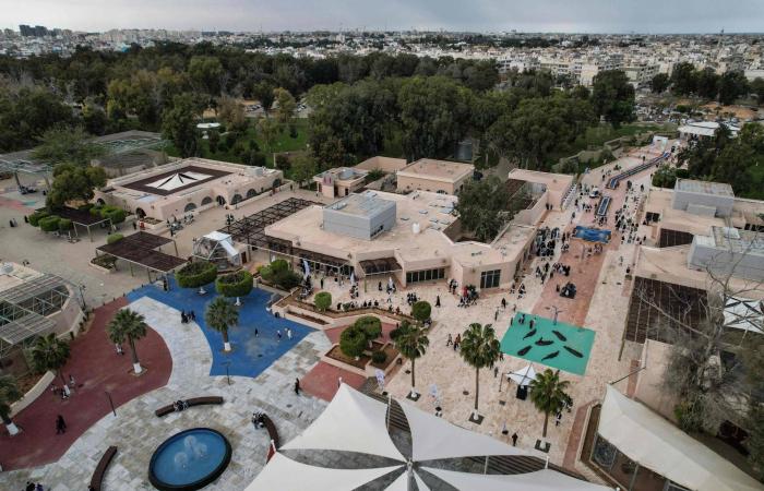 حديقة
      حيوان
      طرابلس
      تفتح
      أبوابها
      بعد
      إغلاق
      لـ17
      عاماً