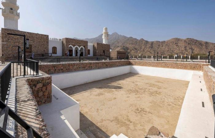 من
      هن
      نساء
      «تايتانيك»
      المنسيات؟