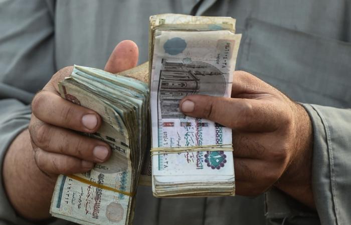 مصر تستعد لطرح فئة جديدة من العملة لأول مرة بتصميم نفرتيتي وتوت عنخ آمون