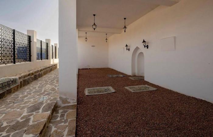 من
      هن
      نساء
      «تايتانيك»
      المنسيات؟