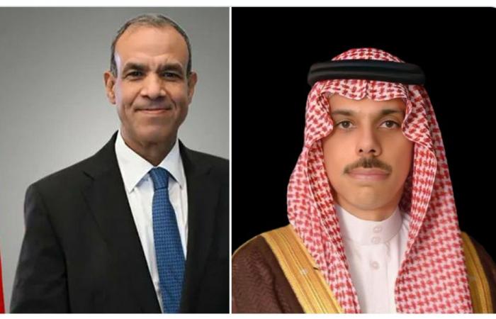 وزيرا خارجية السعودية ومصر يبحثان مستجدات الأوضاع في المنطقة