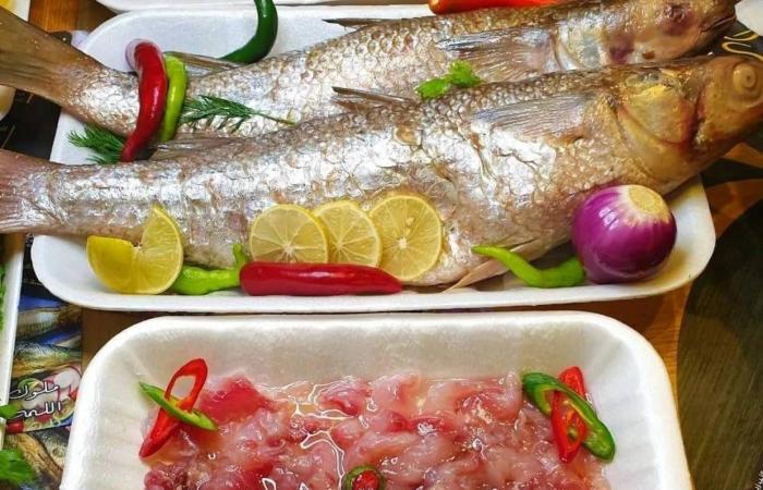 كيف
      تتناول
      الأسماك
      المملحة
      من
      دون
      متاعب
      صحية؟