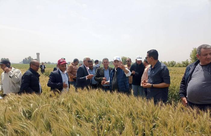 السعودية
      تتصدر
      صمود
      النمو
      خليجياً