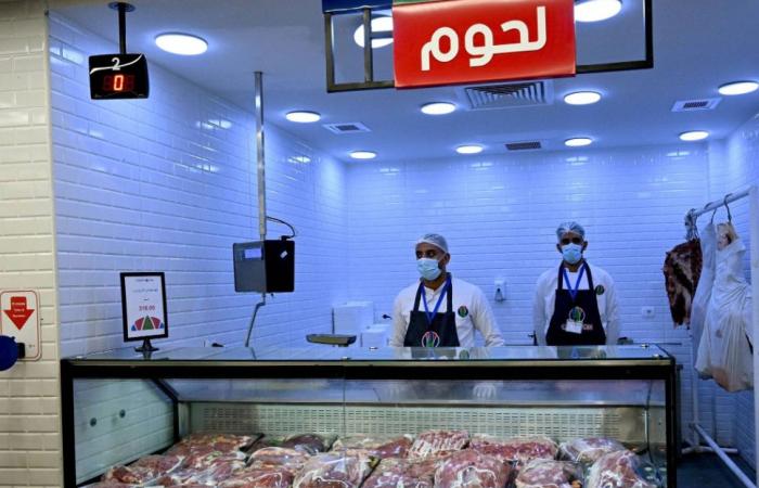 الحكومة
      المصرية
      تستعد
      لسيناريوهات
      مختلفة
      في
      «حرب
      إيران»