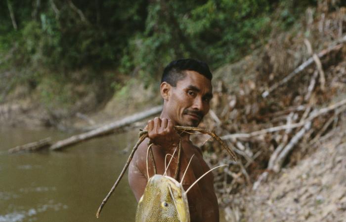 أطول هجرة في المياه العذبة.. كيف تسعى دول الأمازون لإنقاذ هذه السمكة؟