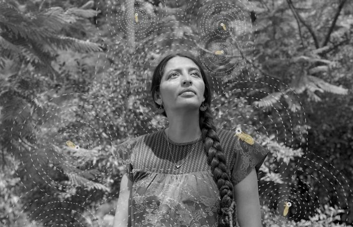 لقطات من سوريا.. هذه هي الصور الفائزة بجوائز "سوني" العالمية للتصوير الفوتوغرافي 2026