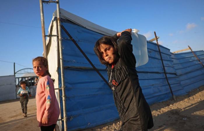 «اتفاق
      غزة»...
      الوسطاء
      أمام
      «فرص
      محدودة»
      بعد
      تحفّظات
      «اجتماعات
      القاهرة»