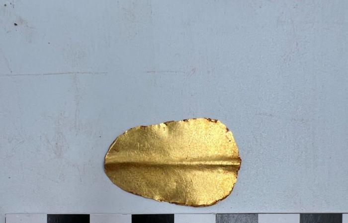 بينها ألسنة ذهبية وعددا من المومياوات.. اكتشاف مقبرة رومانية نادرة في مصر