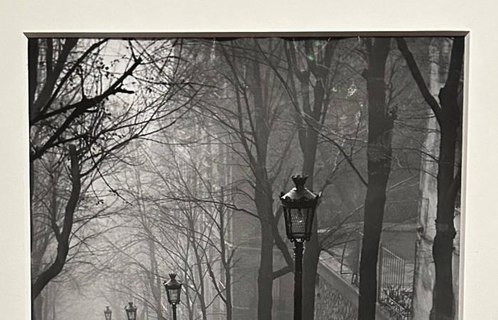 «الأديب
      الثقافية»...
      عدد
      خاص
      عن
      الشاعر
      العراقي
      عدنان
      الصائغ