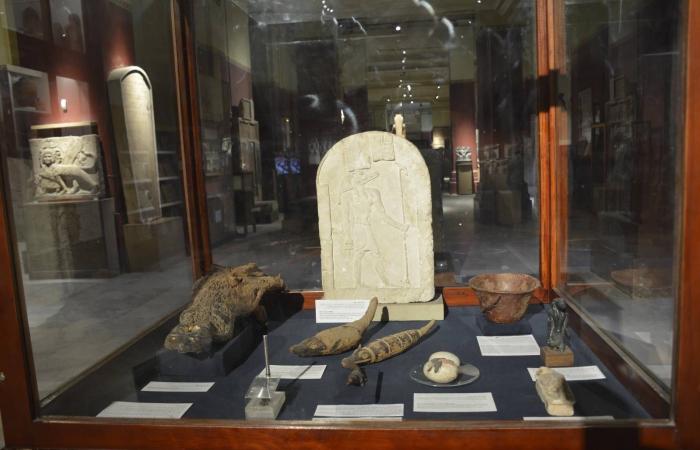 مصر:
      معارض
      أثرية
      تحتفي
      بالنيل
      في
      يوم
      التراث
      العالمي