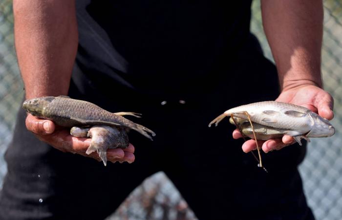 الداخلية
      السورية:
      إحباط
      مخطط
      لخلية
      كانت
      تعتزم
      إطلاق
      صواريخ
      خارج
      الحدود
