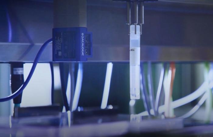 ​تقدّم واعد في علاج سرطان البنكرياس بفضل لقاح mRNA