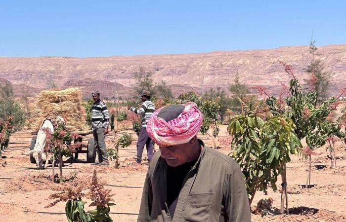 تحذيرات
      في
      ليبيا
      بعد خروج
      ناقلة
      الغاز
      الروسية
      عن
      السيطرة