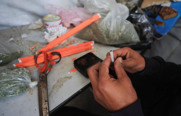 في
      مواجهة
      شحّ
      التبغ
      في
      القطاع...
      الغزيون
      يدخنون
      الملوخية