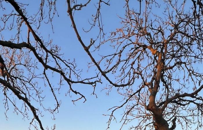 دليلك
      لزيارة
      منحدرات
      «سيفن
      سيسترز»
      ليوم
      واحد
      أو
      أكثر