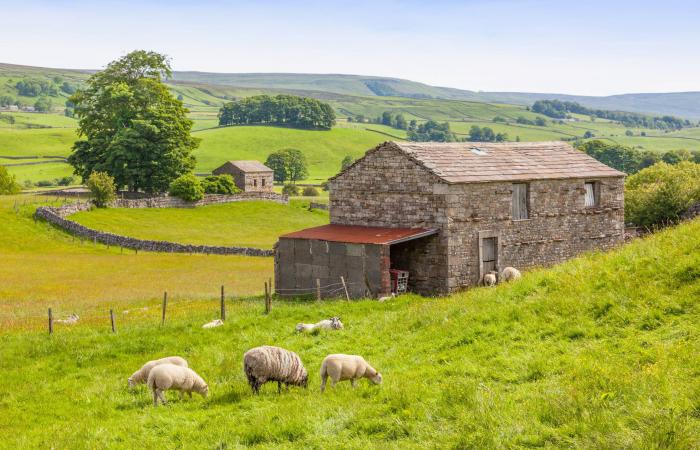 دليلك
      لزيارة
      منحدرات
      «سيفن
      سيسترز»
      ليوم
      واحد
      أو
      أكثر