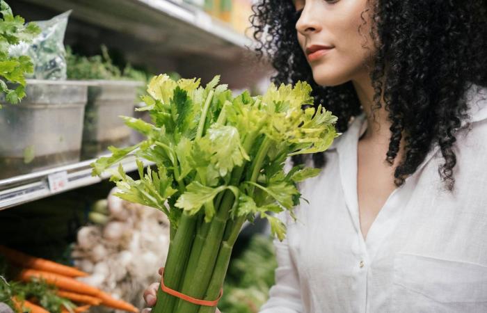 عصير
      الكرفس:
      هل
      يساعد
      فعلاً
      في
      خفض
      ضغط
      الدم؟