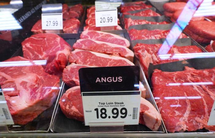 ماذا
      يحدث
      لأعصابك
      عند
      تناول
      الزعتر
      يومياً؟