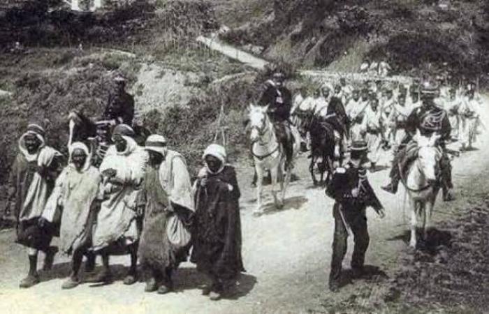 الجزائر:
      تحرك
      لإنصاف
      أحفاد
      منفيي
      حقبة
      الاستعمار