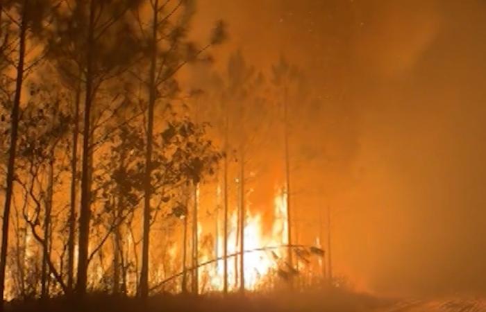 حرائق الغابات في جورجيا تتفاقم وسط ظروف جفاف شديدة