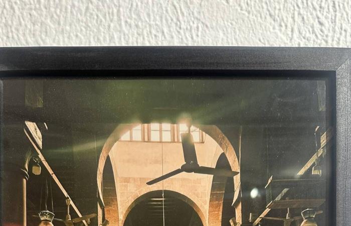 «مهرجان
      أسوان»
      يحتفي
      بتألق
      السينمائيات
      السعوديات