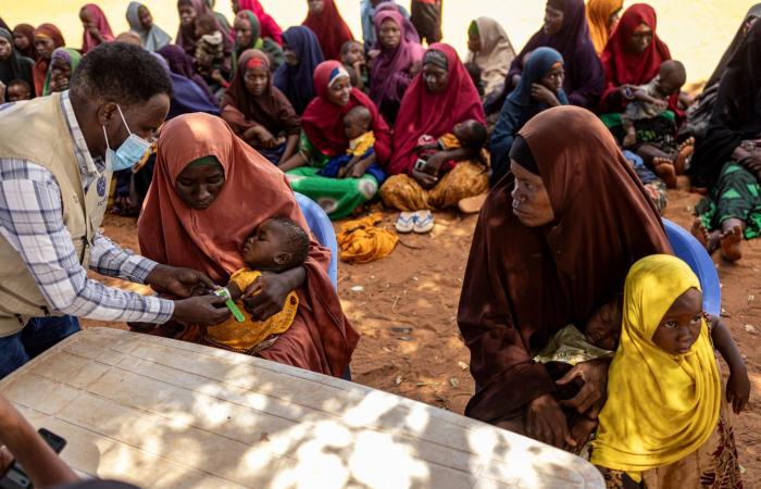 بين
      القانون
      الدولي
      ومنطق
      القوّة:
      أيّ
      عالم
      يتشكّل؟