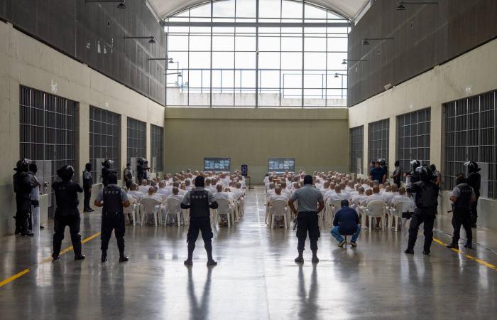 المكسيك:
      عميلان
      أميركيان
      لم
      يحملا
      تصاريح
      للمشاركة
      في
      عملية
      محلية