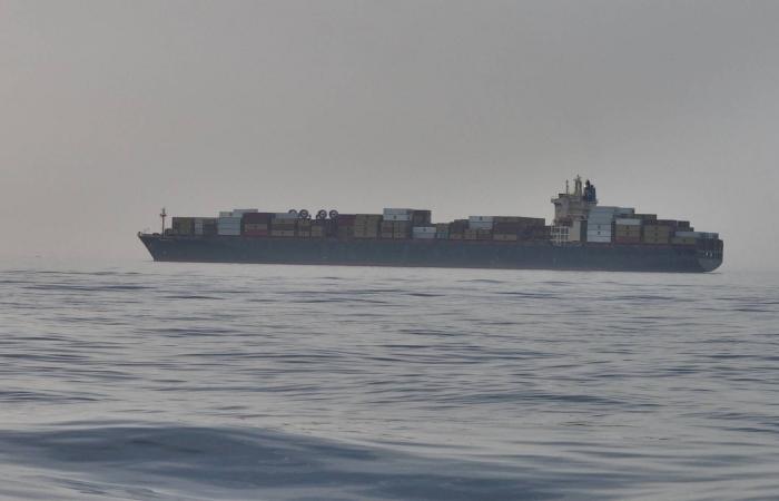 بين
      القانون
      الدولي
      ومنطق
      القوّة:
      أيّ
      عالم
      يتشكّل؟