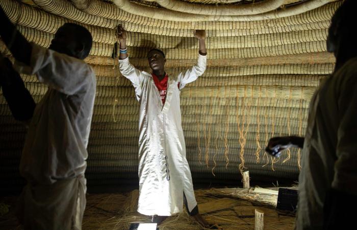 قبور كاسوبي.. بوابة إلى عالم قديم مخفي تُفتح من جديد في أوغندا