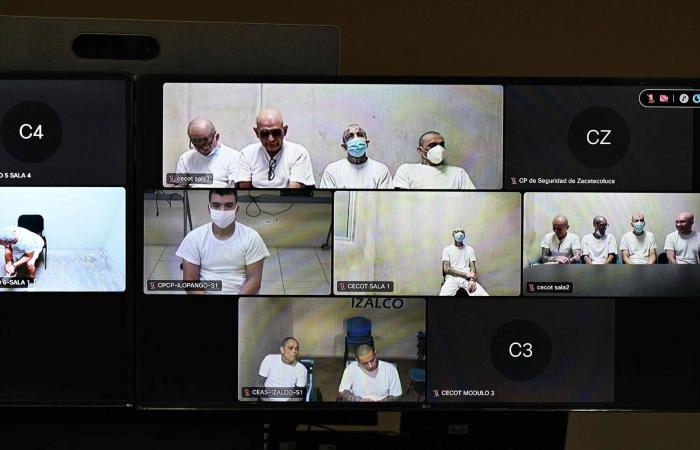 المكسيك:
      عميلان
      أميركيان
      لم
      يحملا
      تصاريح
      للمشاركة
      في
      عملية
      محلية