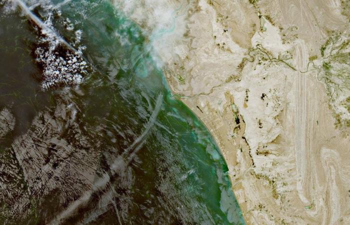 ألمانيا
      تُحمّل
      روسيا
      مسؤولية
      هجمات
      تجسس
      على
      مسؤولين
      عبر
      تطبيق
      «سيغنال»