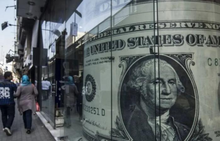 الحكومة
      المصرية
      للسيطرة
      على
      الأسواق
      رغم
      «تذبذبات
      الدولار»