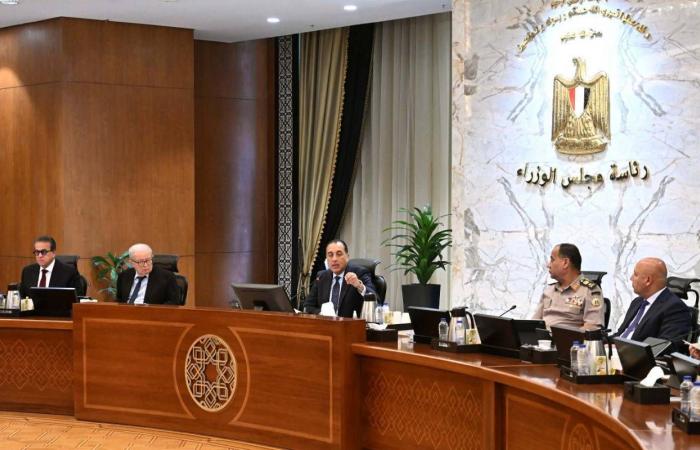 الحكومة
      المصرية
      للسيطرة
      على
      الأسواق
      رغم
      «تذبذبات
      الدولار»