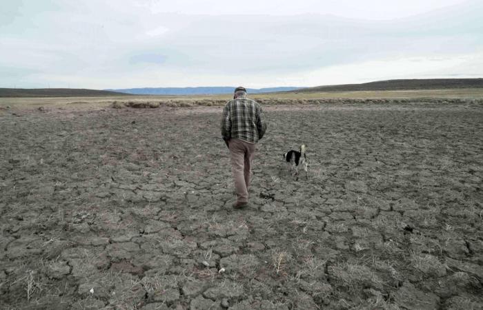 زيادة
      الإنفاق
      العسكري
      العالمي
      رغم
      تجميد
      مساعدات
      أوكرانيا