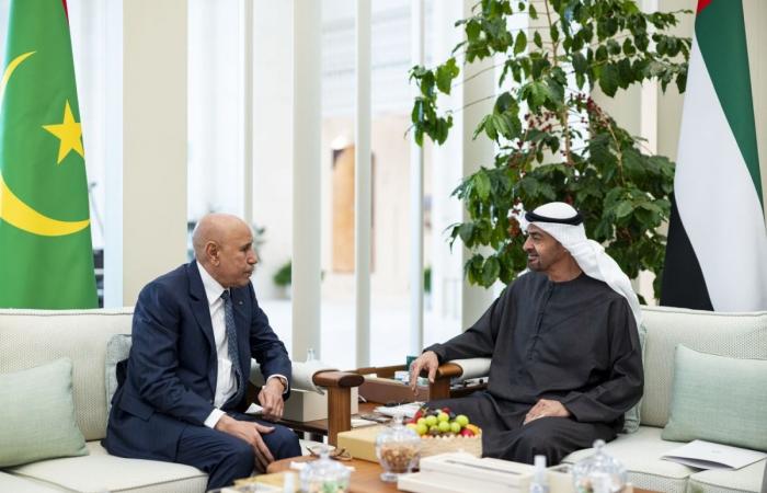 رئيسا الإمارات وموريتانيا يبحثان تعزيز علاقات التعاون وتداعيات التطورات الإقليمية