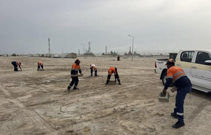 البيئة: إصدار تصاريح مواقف الكبائن في سيلين إلكترونيا عبر موقع الوزارة