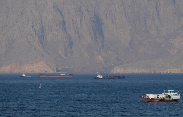 المنظمة البحرية الدولية تدعو إلى العمل لخفض التصعيد في مضيق هرمز